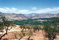 1995 - Andalousie 1 (Andalousie - Mai 1995)